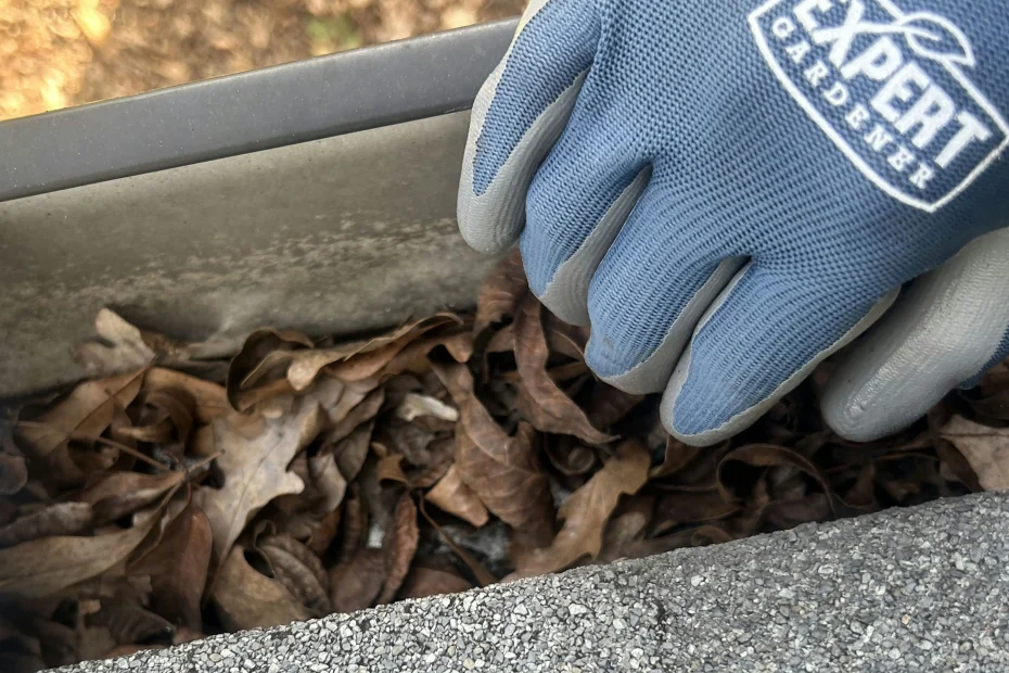 Gutter Cleaning Prairieville