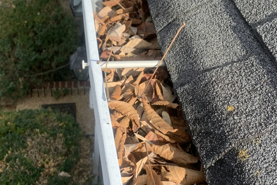 Gutter Cleaning Prairieville